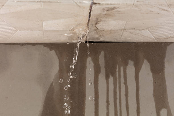 Professional Water Damage Restoration technician working in Cunningham, TN
